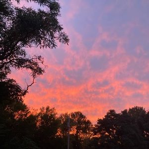 Meet your Posher, Abigail